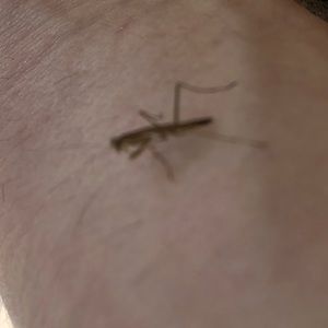 Meet your Posher, Logan